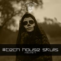 tech house skull volume 11