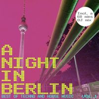 A NIGHT IN BERLIN, VOL. 1 - BEST OF TECHNO AND HOUSE MUSIC